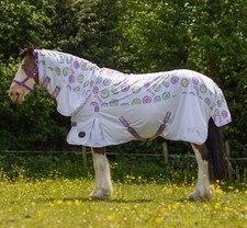 GALLOP SWEETS & TREATS COMBO