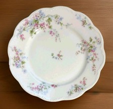 Antique Haviland Limoges China