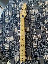 Peavey Patriot electric guitar