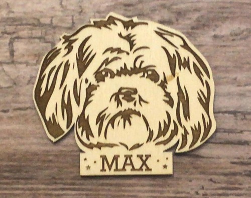 Lhasa apso pet - lhasa,