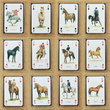 Fridge Magnet (FB6) Playing Card Horses & Ponies Of The World - Various Breeds