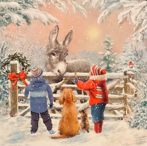 Charity christmas card - charity,