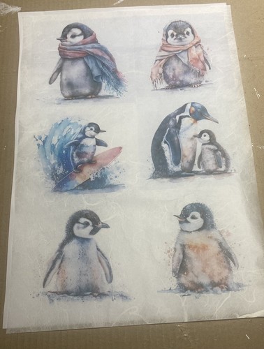 Rice paper for - rice,