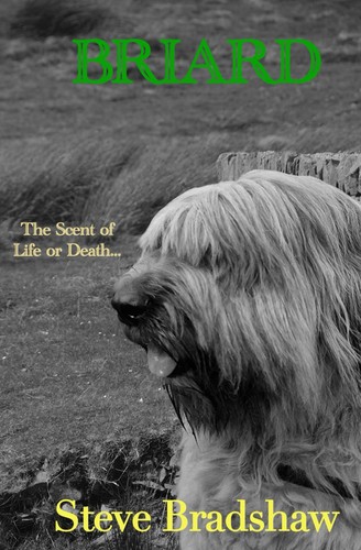 Briard novel - briard, a