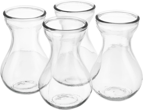 Ganazono 4pcs hyacinth - ganazono, glass