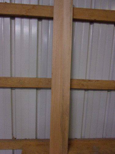 Beech lumber wood kiln - pc,