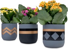 Cement Plant Pot x 3 Planter Hand Made Indoor Flower Cactus Garden Concrete Hold