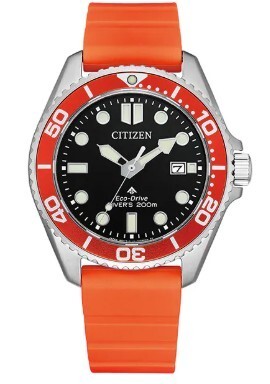 Super model citizen promaster - super,