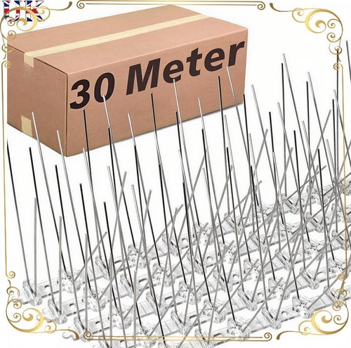 10m 20m 30m pigeon birds - 10m,