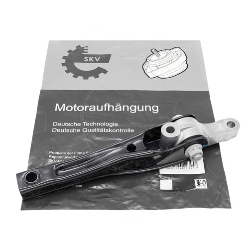 Rear engine mounting skv - rear,