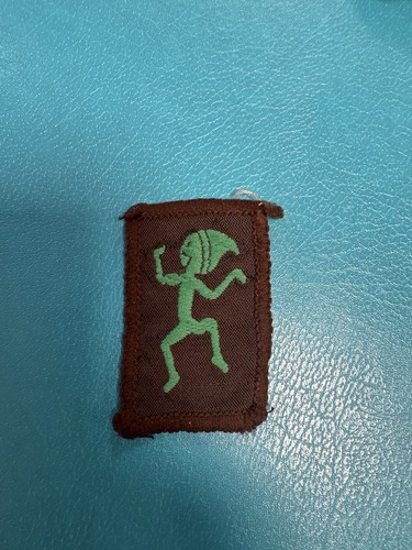 Vintage girl guide - vintage,