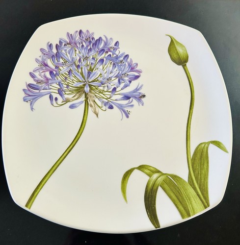 Ann swan for jersey pottery - ann,