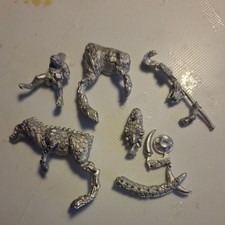 Tichi Huichi Raiders Standard