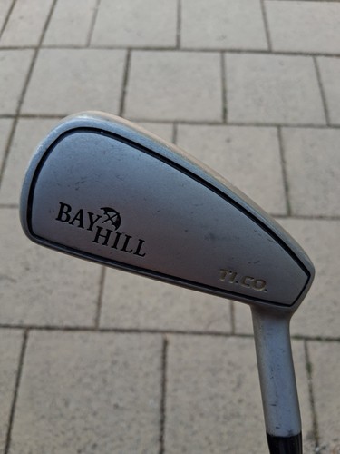 Bay hill arnold - bay, 17°