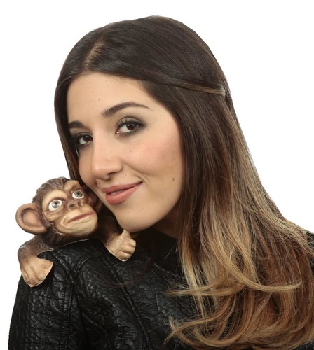 Ghoulish shoulder buddy monkey - shoulder,
