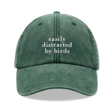 easily distracted by birds