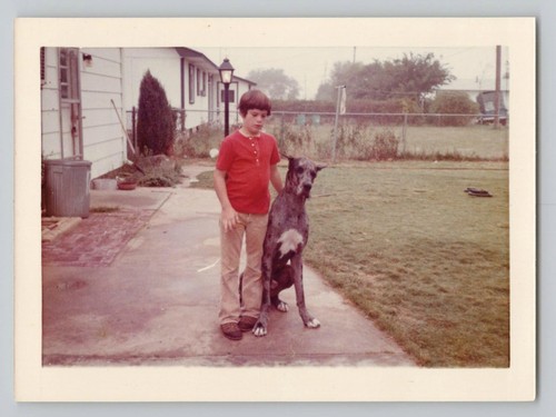 1970s snapshot boy - boy, &
