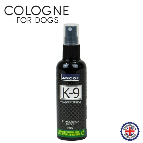 Ancol dog puppy - puppy, cologne