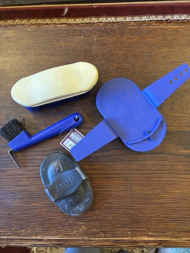 Pony horse grooming - pony, kit