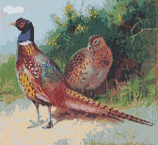 Pheasants Game Bird Complete