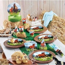 HORSE Equestrian Birthday Decorations Party Balloons Tableware Set Supplies