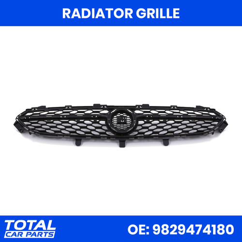 Upper radiator grille - radiator, front