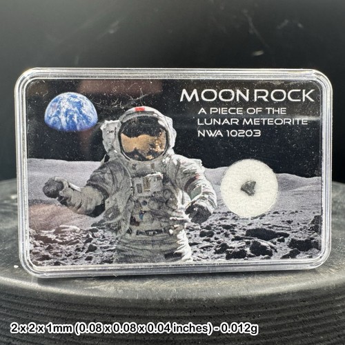 Genuine lunar meteorite - ,