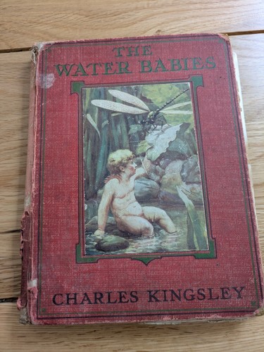 The water babies - the,