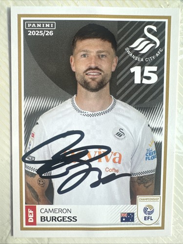 Swansea city cameron burgess - swansea,