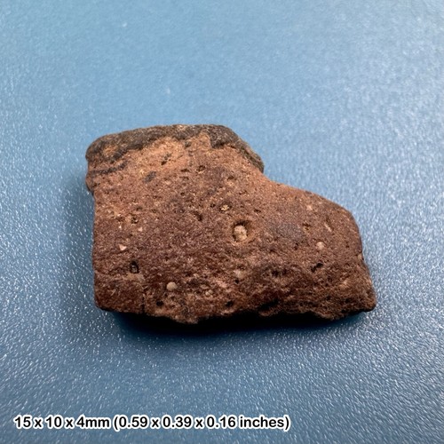 Authentic dinosaur bone - , fossil