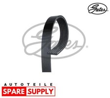 V-RIBBED BELT FOR JAGUAR