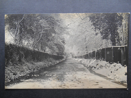 Snow april 1908 chalk - snow,