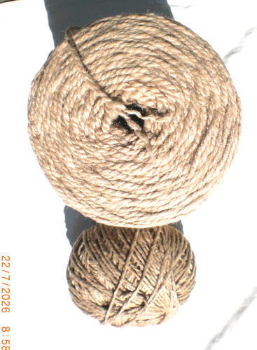 Wool off shetland sheep pale - wool,