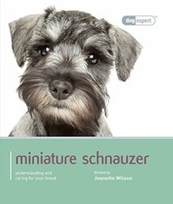 Miniature schnauzer - miniature,