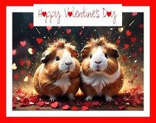 Guinea Pigs Valentine's Day
