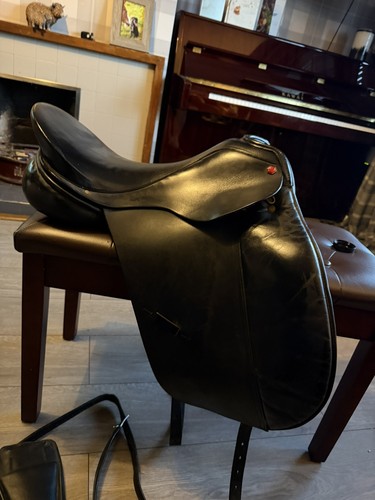 Albion dressage style - albion, ‘style’