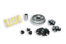 Malossi 5113134 Variator