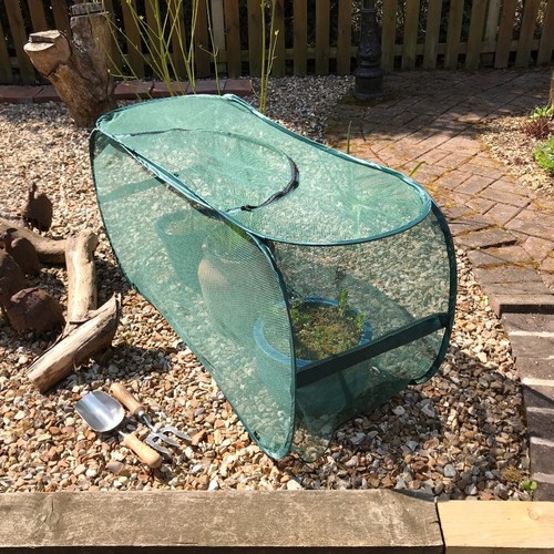 Popup garden cloche tunnel - cloche,