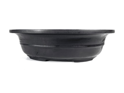 Korean oval dark brown - brown, bonsai
