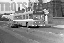 35mm black and white negative - 35mm,