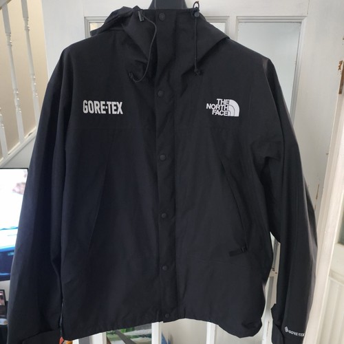 The north face gore - north,