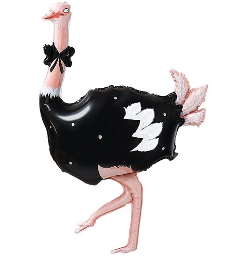 Ostrich balloon birthday - ostrich,