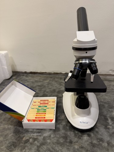 First lab mfl duo - first, mfl-06