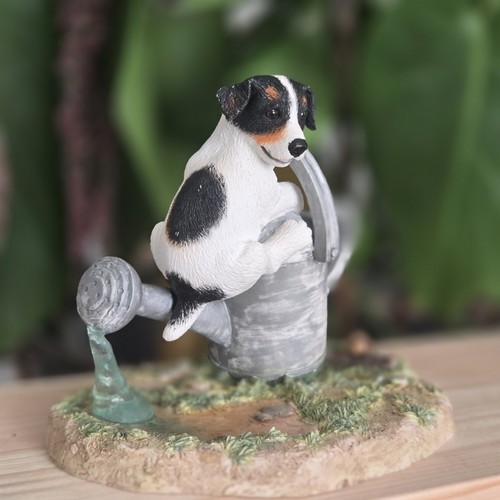 Border fine arts studio - studio, puppy