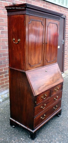 Chippendale period campaign