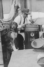 Ernest Shackleton with dog on