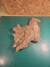 Driftwood Piece Curled Red Bogwood for Vivarium or Display