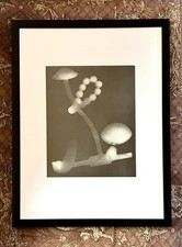  Man Ray “Abstract Rayograph” 1975 Vintage Photo Engraving w/ COA, c.1923 Neg