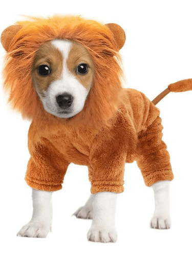 Lion halloween dog - halloween, costumes