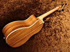 Luna Guitars Vista Stallion